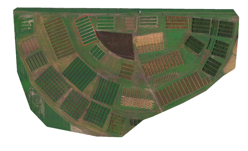 RGB image of research plots