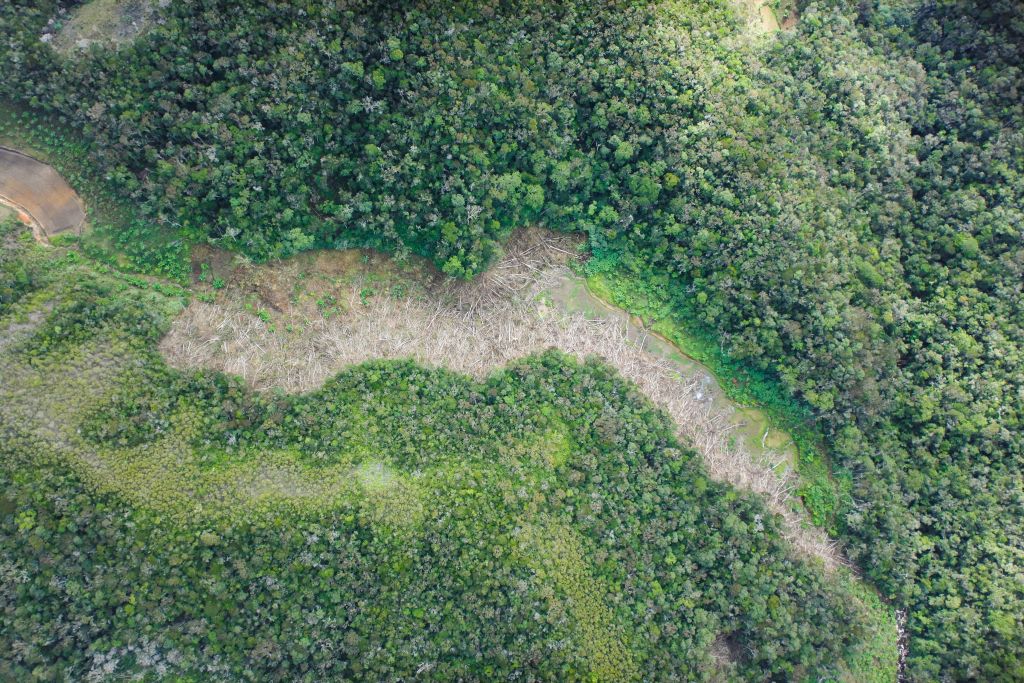 madagascar-deforestation-conservation-drones